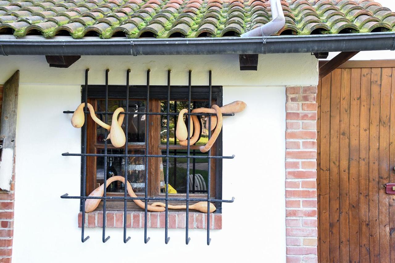 בית הארחה אלבניה 	Casa Zafferano מראה חיצוני תמונה