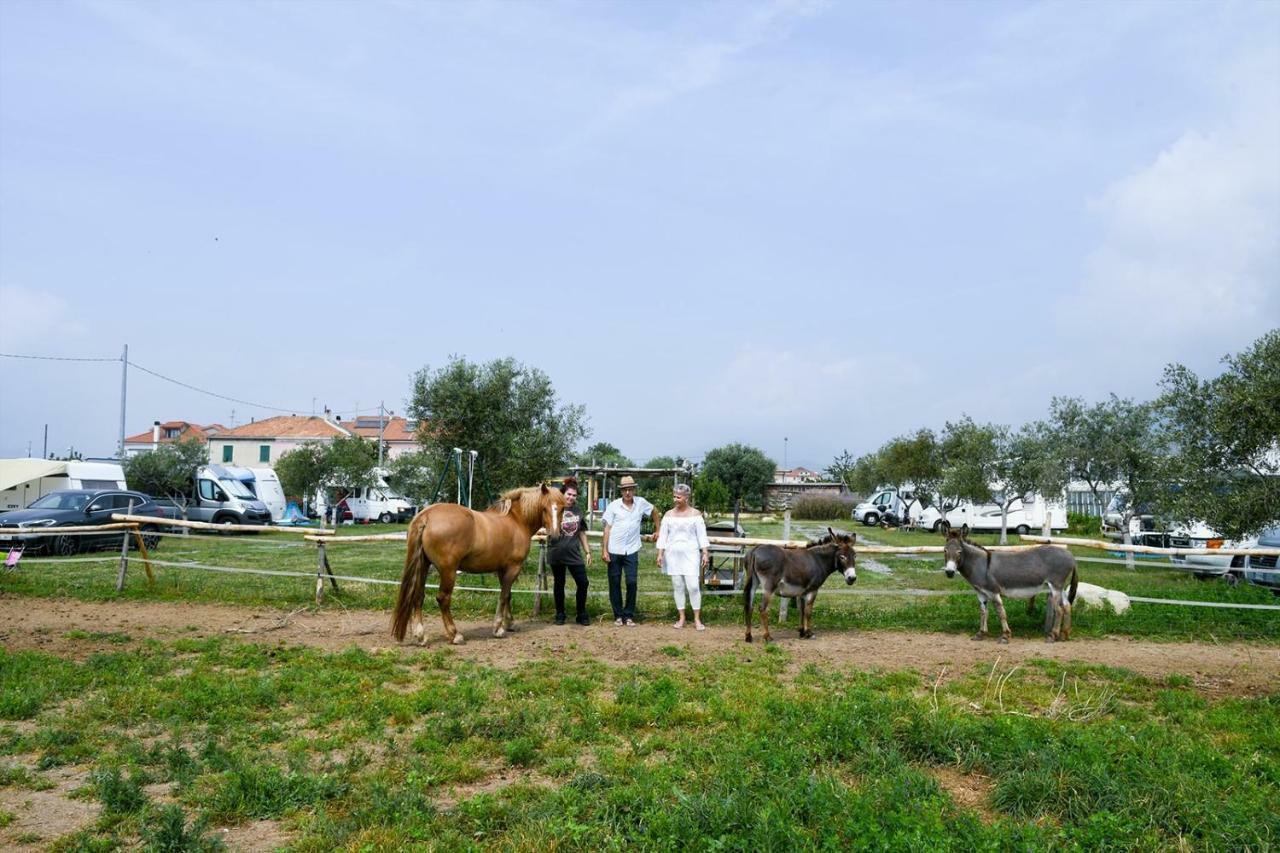בית הארחה אלבניה 	Casa Zafferano מראה חיצוני תמונה