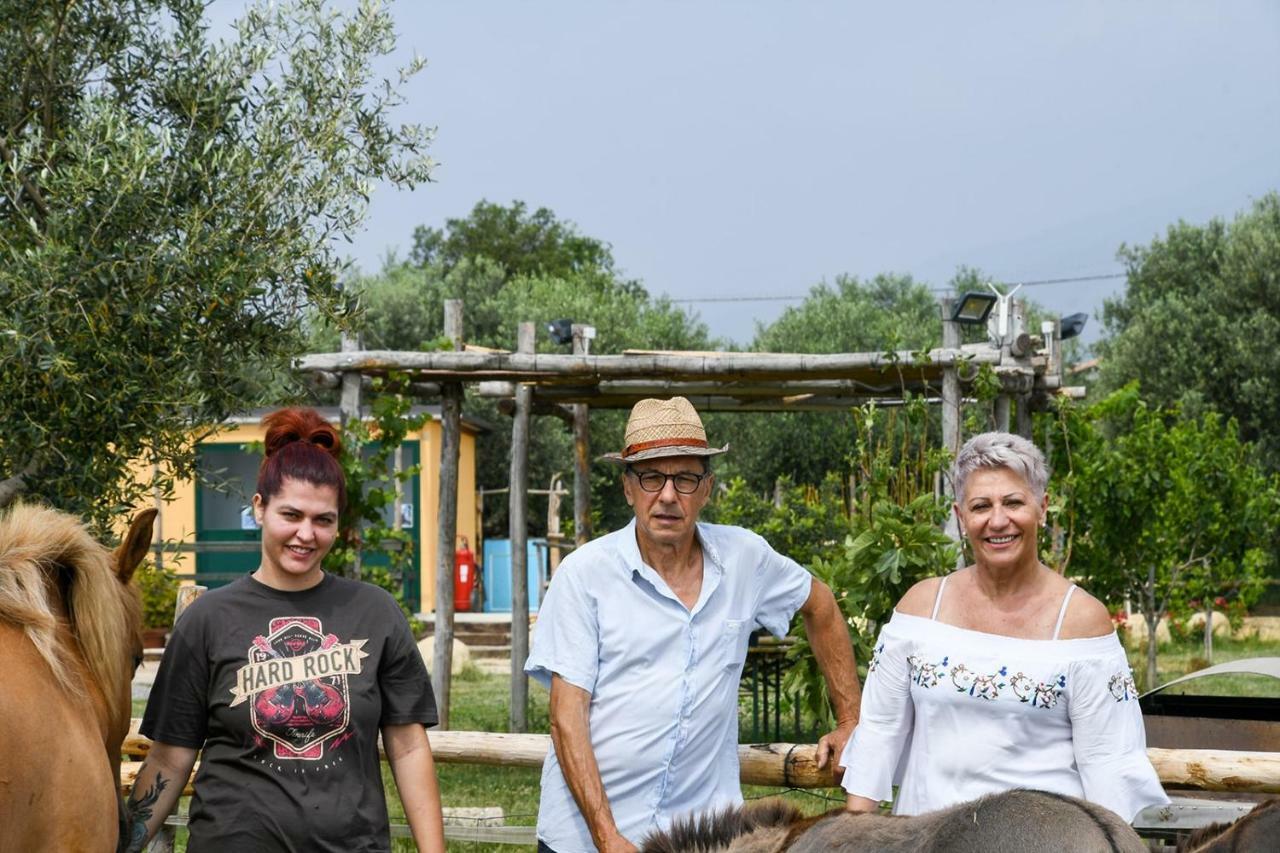 בית הארחה אלבניה 	Casa Zafferano מראה חיצוני תמונה